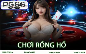 Chơi Rồng Hổ